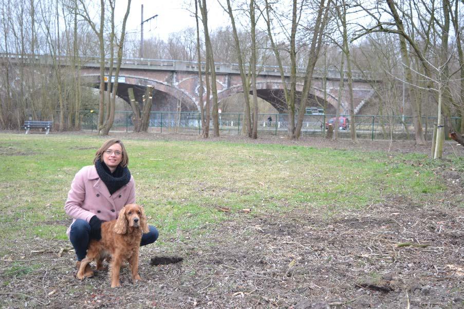 Vooreerst werd de aankoop goedgekeurd van een perceel grond in de Hendrik Consciencestraat. Het perceel is gelegen naast de inrit van de Go!