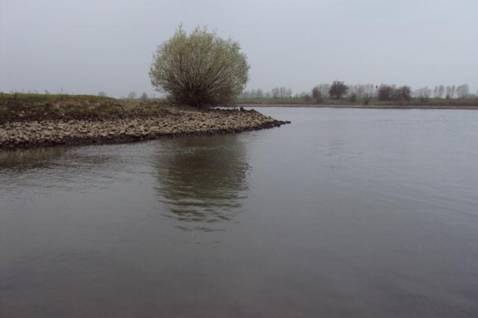 Kade Wijhe (49 op kaart) Deze locatie ligt praktisch 300 meter verderop ten aanzien van stek 50.