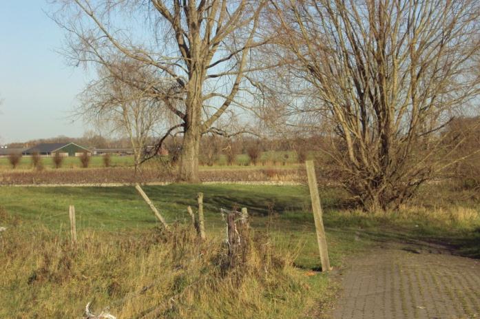 IJsseloever (A1) nabij Wilp (19 op kaart) Mooie visstekken op een goed bereikbare locatie. De stekken kunnen tot op 50 meter na geheel met de auto bereikt worden. Parkeermogelijkheden zijn goed.