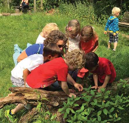 OVERIGE ACTIVITEITEN Themamiddagen buurtcentrum Oranjewijk Samen met het WIJ-team is er een keer per maand op de donderdag een themamiddag.