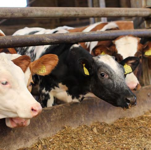 Op bezoek bij Ecofields Dankzij Ecofields durf