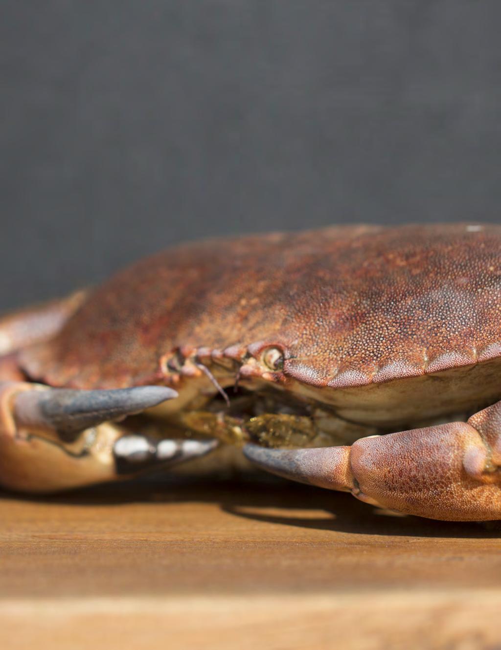 Krabbenvlees is superlekker,