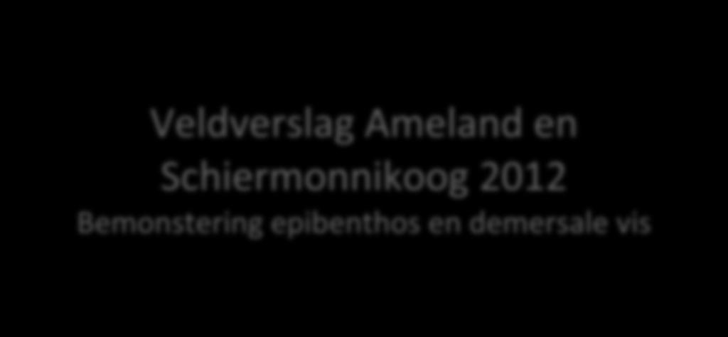 Veldverslag Ameland en