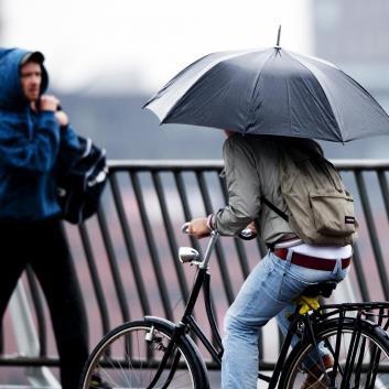 HOOFDSTUK 4 De goudvis in zijn kom