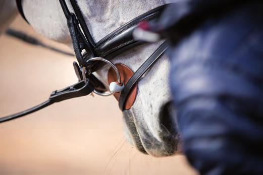 ZOEK EEN ZACHTER BIT Bij lastige en sterke paarden wordt snel naar scherpere, agressieve bitten gegrepen.