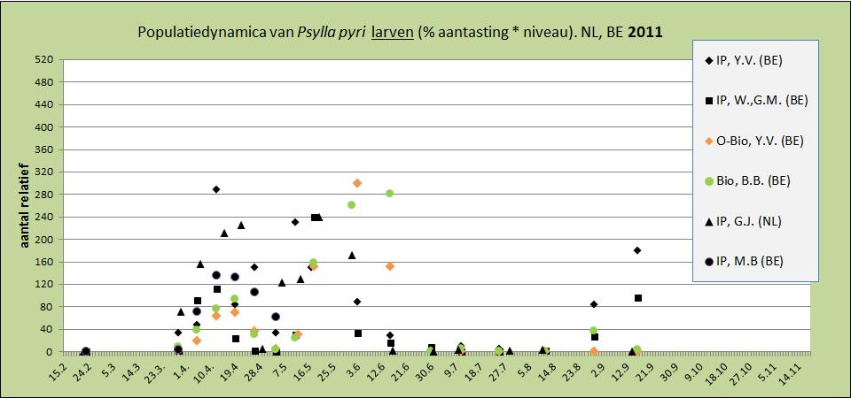 De tweede en typische pbv larven zomerpiek in juni laat opnieuw duidelijke hogere aantasting niveaus bij IP in vergelijking met de omschakel (O-Bio) en Bio percelen zien.