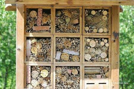 plaatsen van bijenkasten op terrein Geoogste honing kan gebruikt