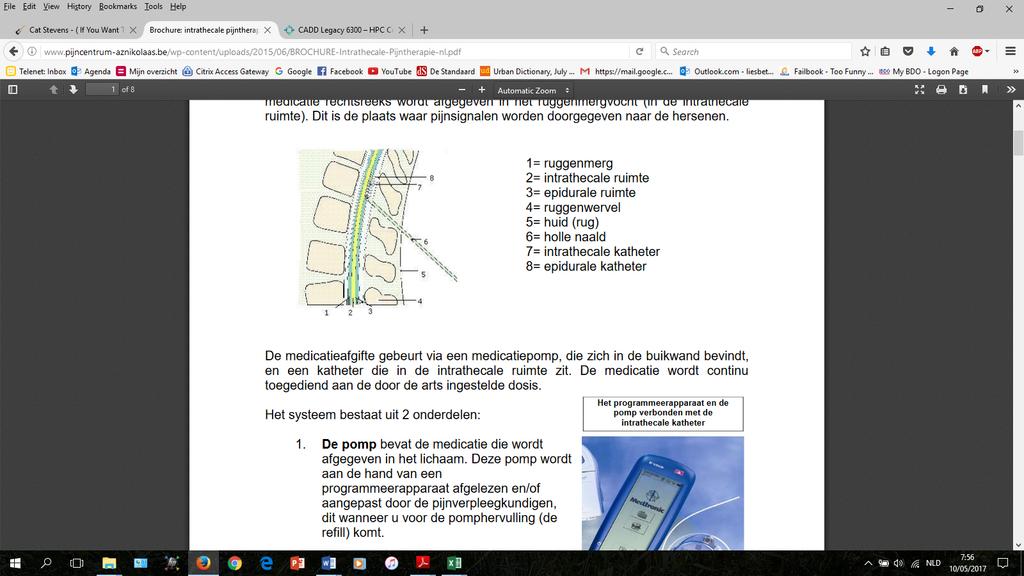 In de achterste helft van de wervelkolom bevindt zich het ruggenmerg dat deel uitmaakt van het centrale zenuwstelsel en omspoeld wordt met hersenvocht (liquor).