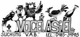 Stichting Vogelasiel Bergen-L Siebengewaldseweg 108 5854 PD Bergen-L tel. 0485-341415 of 06 10 27 19 25 website www.vogelasielbergen.nl email vogelasiel@zonnet.