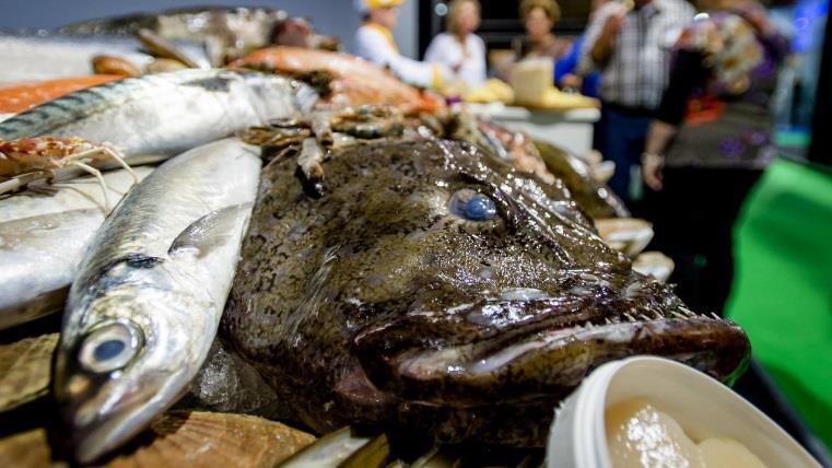 Nieuwpoortse Vismijn Nieuwpoortse vismijn blijft zich profileren als vers-markt Duurzaam gevangen vis (kabeljauw, pladijs, bot, tarbot, griet, garnalen etc.