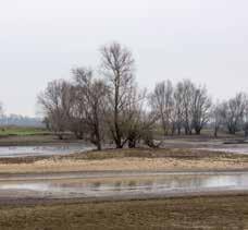 NAGW verkenning grote rivieren 18 Afbakening Het kierbesluit voor het Haringvliet wordt ingesteld en behelst een beperkte getijdenslag in het Haringvliet, welke doorwerkt naar de Merwede, de Waal en