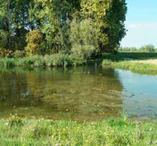 Deeltraject: Nederrijn tot de eerste stuw NAGW verkenning grote rivieren 39 Dit deeltraject bestaat uit eigenlijk uit drie verschillende onderdelen: de Rijnstrangen, het Pannerdensch kanaal en de