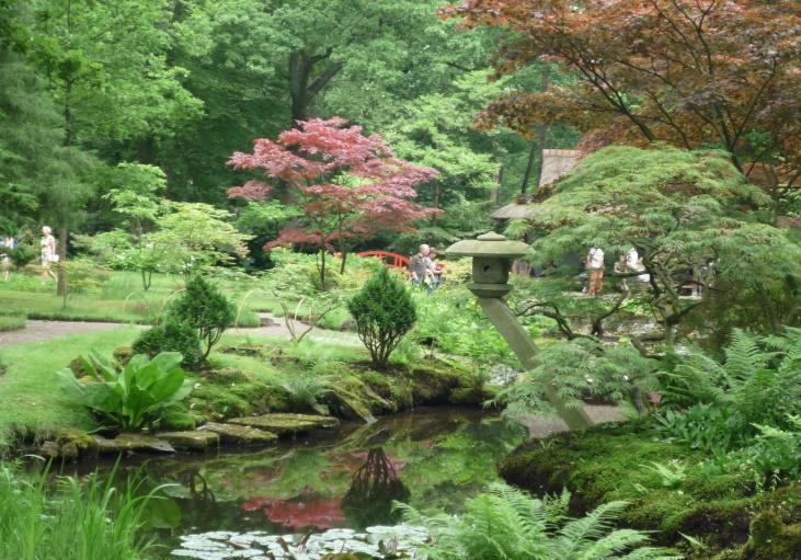 Tips 29 april t/m 11 juni 2017 Voorjaarsopening Japanse Tuin Clingendael De Japanse Tuin is het pronkstuk van landgoed Clingendael. Hier zijn prachtige, zeldzame bomen en planten te zien.