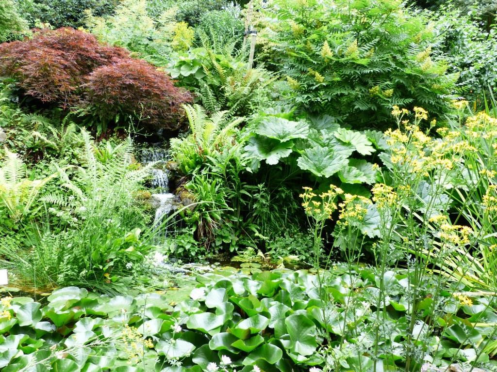 De botanische tuin met z n prachtige slingerpaadjes langs bijzondere bomen, heesters en planten is - zonder te overdrijven - een lust