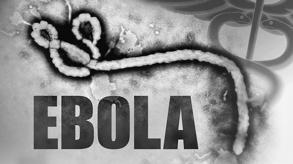 Opgave 1 Ebola tekst 1 In 2014 brak in enkele Afrikaanse landen ebola uit, een ziekte die wordt veroorzaakt door een virus. Ongeveer de helft van de mensen met ebola sterft.