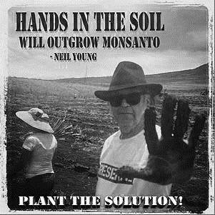 tekst 3 Monsanto moet als voedselproducent aan veel regels voldoen. Daarom probeert Monsanto de politiek direct én indirect te beïnvloeden om de regels aan te passen.