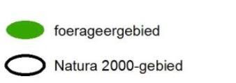 De aantallen lopen vanaf eind september snel op en zijn het hoogst in november, februari en maart (gemiddeld 59.000-77.000).