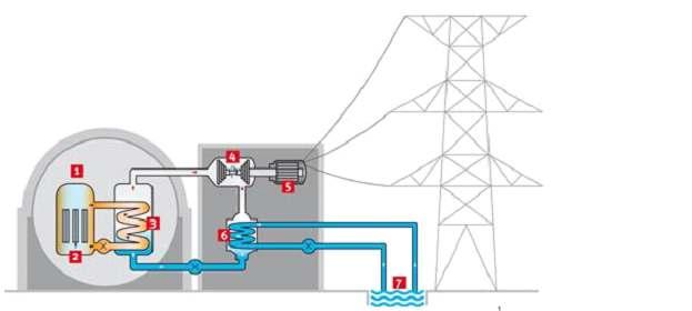 HOE WERKT EEN KERNREACTOR? Figuur uit: Wikipedia. 1- Reactorhuis; 2- Reactorvat met splijtstof; 3- Warmtewisselaar; 4- Stoomturbine; 5- Elektriciteitsgenerator; 6- Koel-condensor; 7- Koelwateraanvoer.