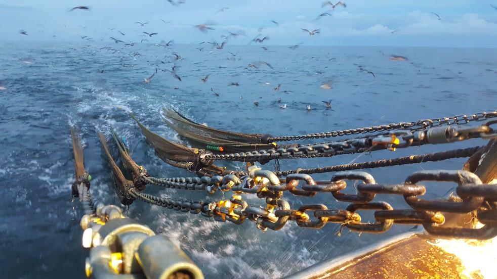 Gedurende de winter en de lente staat de vangst op het laagste peil. De meeste wijfjes zitten veilig in hun holen, waardoor ze niet langer bereikbaar zijn voor bevissing.