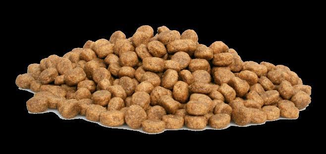 Super Premium Puppy Graanvrij Salmon & Potatoes 100% Graanvrij - Puppy Super Premium Puppy Salmon & Potatoes is een 100% graanvrije puppy voeding voor pups van alle rassen.