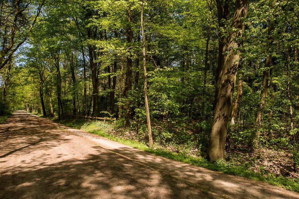 De recreatiewoning In de ochtend staat u heerlijk fris op en kunt u vanuit dit idyllisch gelegen huis, gelijk een prachtige wandeling of fietstocht maken door dit prachtige gebied.