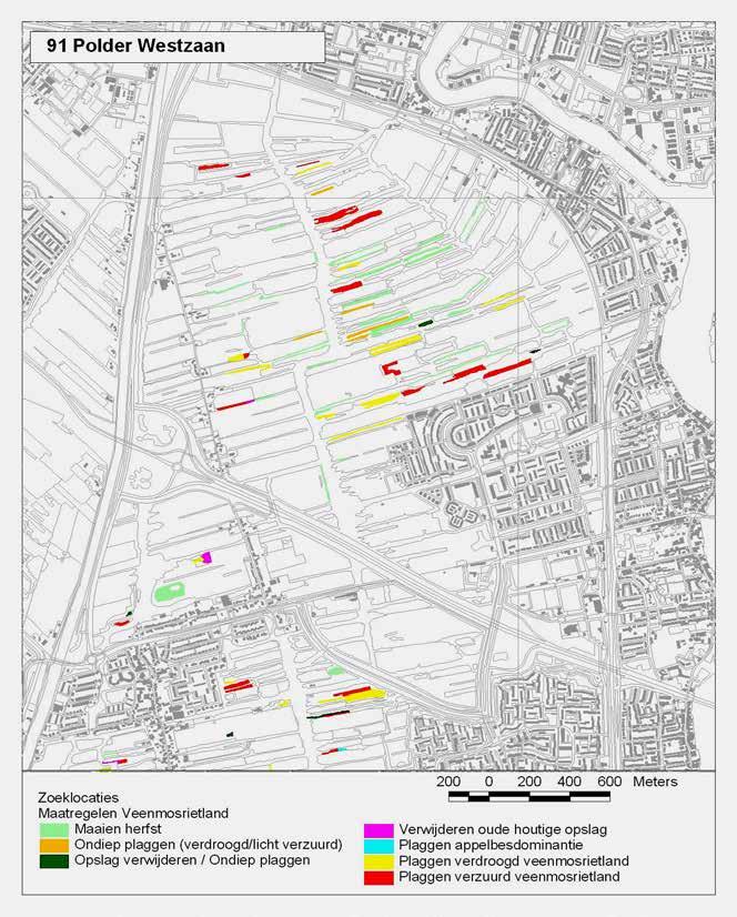 Ontwerp Natura 2000 beheerplan Polder Westzaan Provincie Noord-Holland 126 Figuur 27 Overzicht van percelen