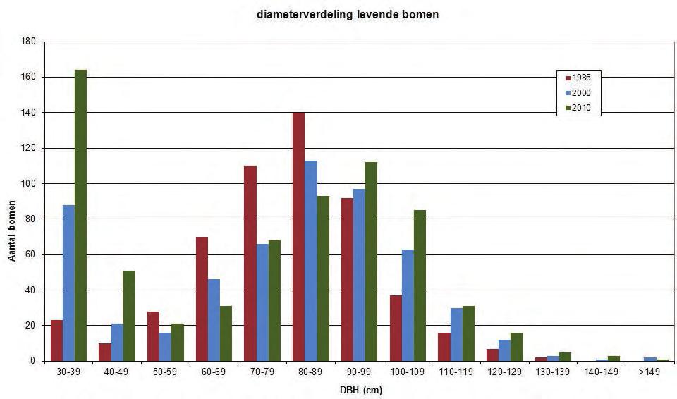 eik), werkte alleszins in het voordeel van de beuken : indien voldoende verjonging optreedt zal beuk immers alle andere soorten al na enkele decennia weggeconcurreerd hebben.