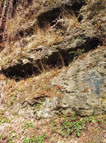 In Malmedy ontstond die steen voor het opduiken van de dinosaurus op het einde van het primaire tijdperk tussen 295 en 250 miljoen jaar