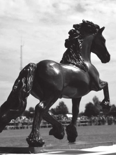 WISSELTROFEE VOOR 38 E FOKDAG Sinds de 35e Fokdag van de vereniging, heeft het bestuur een wisseltrofee voor de winnaar van de Fokdag Hilvarenbeek. Het is een fors bronzen beeld van een Fries paard.