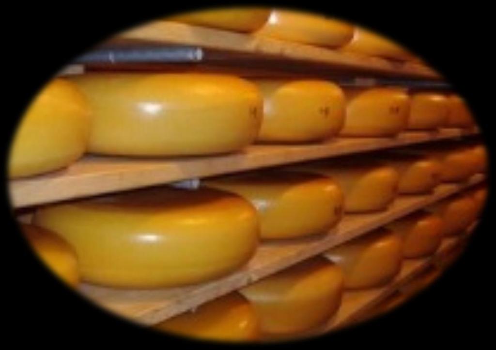 OVER DE GRENZEN KIJKEN Het grootste exportproduct van Nederland is kaas.
