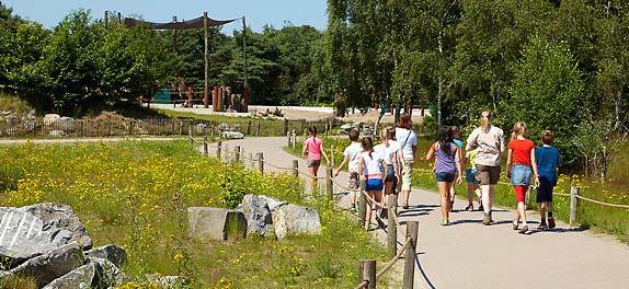 2. De dierentuin als plek om buiten te zijn. Bezoekers in deze categorie zien een bezoek aan de dierentuin vooral als een vorm van openlucht recreatie.