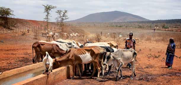 3.2.7 Gevangenenzorg 3.2.8 Noodhulp Zie de algemene inleiding op dit thema aan het begin van paragraaf 3.1.8. In 2016: meer aandacht voor rehabilitatie In Tanzania en Soedan werken we ook onder gevangenen.