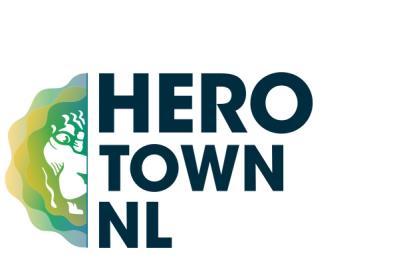 Beleidsplan Hero Town NL 2017-2019 Termijn van beleidsplan De geldigheidsduur van