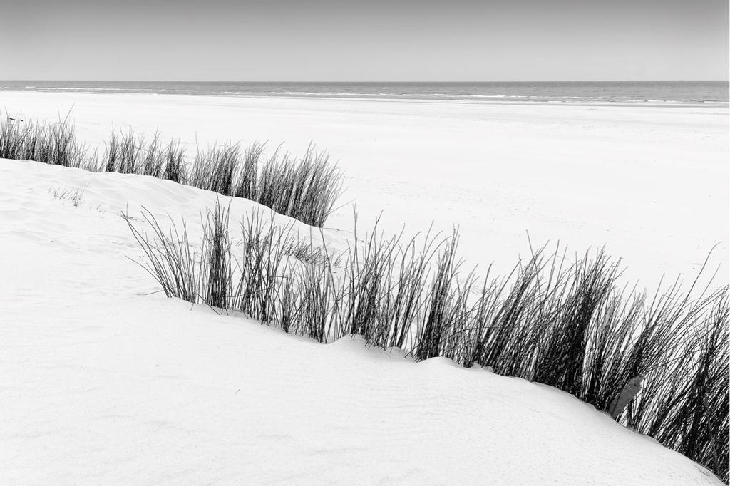 Je moet beschikken over de minimale kennis van fotografie op het niveau van onze cursus Fotografie.