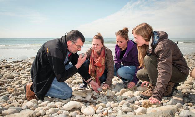 1. BIOLOGIE BACHELOR IN DE BIOLOGIE 180 STUDIEPUNTEN Troeven 1 2 3 TROEF TROEF TROEF VAN MOLECULE NAAR ECOSYSTEEM BREDE WETEN- SCHAPPELIJKE VORMING EIGEN INVULLING De bacheloropleiding biologie