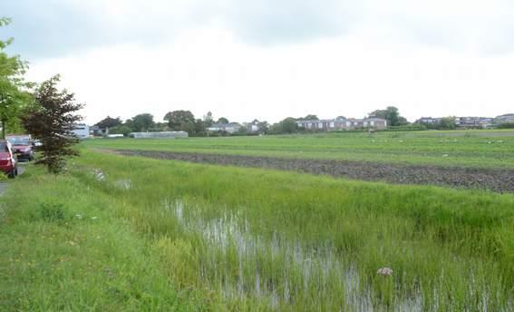 H05 Analyse: beoordeling van de effecten op de natuurwaarden Bij de analyse wordt gelet op de effecten als gevolg van het veranderde gebruik en de veranderde inrichting.