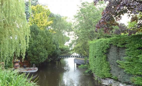 Wij adviseren u graag over de vele mogelijkheden die er zijn voor natuurwaarden binnen een nieuwbouwwijk.