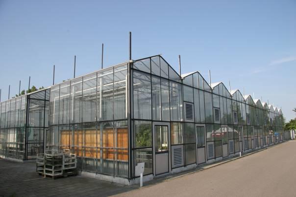 6.2 Materiaal en methoden In maart 2005 is een kasproef opgezet met 12 kasafdelingen van kassencomplex 113 van PPO Naaldwijk (Figuur 2).