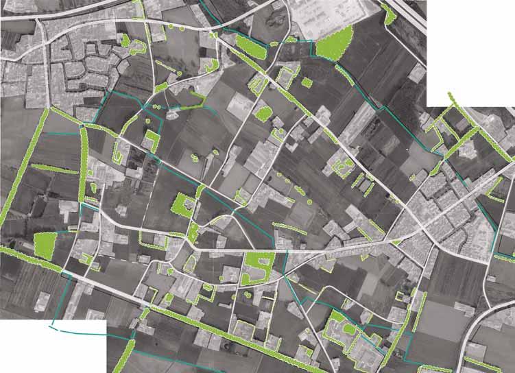 ANALYSE groen & water Oorspronkelijk kampenlandschap, kleinschalig en afwisselend. Versnipperd en aangetast.