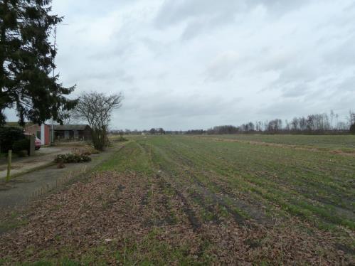 Buiten: Tuin: De voortuin is ingericht als siertuin met plantenborders en gazon. Op de oprit is er voldoende parkeermogelijkheid voor meerdere auto s.