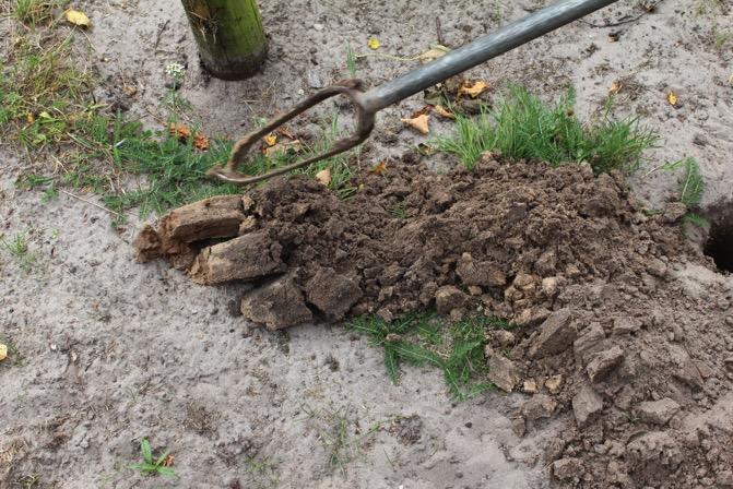 Bodembeoordeling Roest op 50 cm diepte Op locatie waar