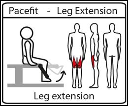 De leg-extension en Pectoral zijn met verstelbare gewichten van 5kg elk.