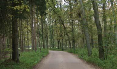 Bebouwing Plaats nieuwe bebouwing in het bos of in de bosrand. Pas de architectuur aan de bosomgeving aan.