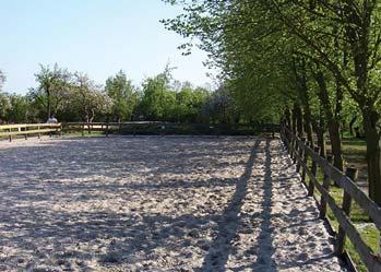 Handreikingen Plaats paardenbakken tegen een bestaande landschappelijke structuur en niet koud in het landschap Wees zuinig op bestaande