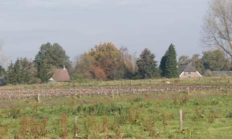 bedrijfsdeel van het erf: de achterkant woondeel van het erf met sier- en moestuin Landschap Voeg geen opgaande beplanting toe op de bolle, hogere delen van de enken.