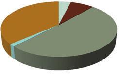 4 / Figuur 8: Aandeel van de energiedragers in het energetisch gebruik van de voedingssector (Vlaanderen, 2010*) - Bron: Energiebalans VITO, 2011 - eigen verwerking!