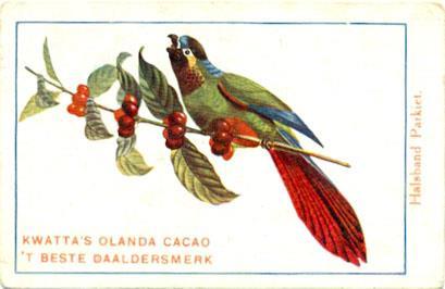 Vogels, vlinders en bloemen Chromo s in de typische druk van Bakker, witte achergrond met blauw kader en rode titelopdruk.