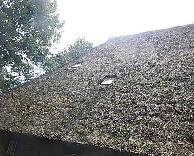 Omdat bij een rieten dak het water beter verspreid van het dak komt druppelen dan bij een pannendak (in tijd en plaats), wordt bij riet de waterafvoer van oudsher op maaiveldniveau geregeld.