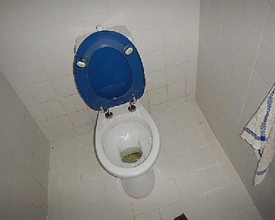 Toilet: Wand / vloerafwerking De wandafwerking is op enkele plaatsen (indien en voor