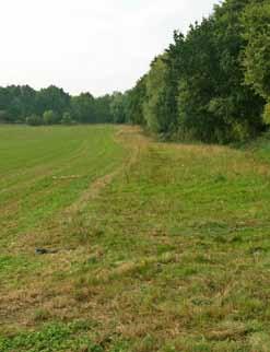 focus op... veel verschillende manieren beheerd werden, ontstond er een grote variatie. Het belang van holle wegen In Vlaanderen komen ruim 1200 ha holle wegen voor.